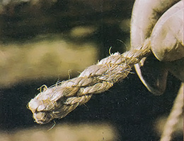 A back splice will permanently protect the end of a natural rope but can be used only if you won't need to slip the line through a small restriction such as a pulley or eye, since the splice increases the end's diameter significantly.